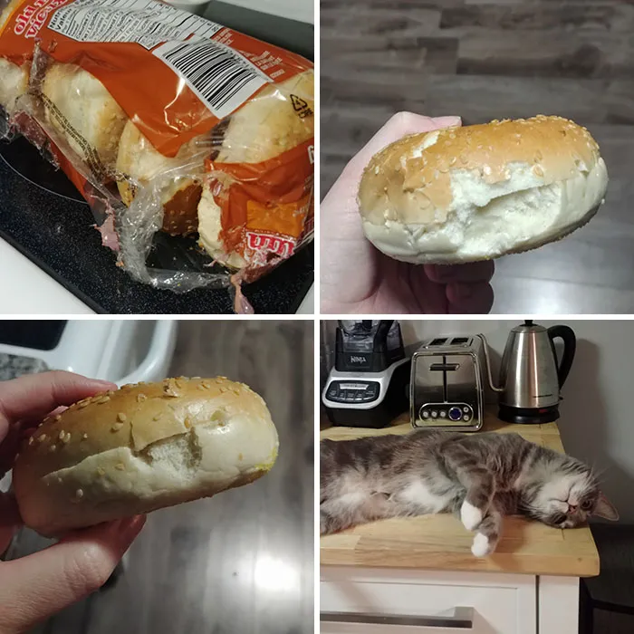 El gato se enfadó porque no llegamos a su hora de cenar, así que abrió la bolsa y les dio un mordisquito a los panecillos