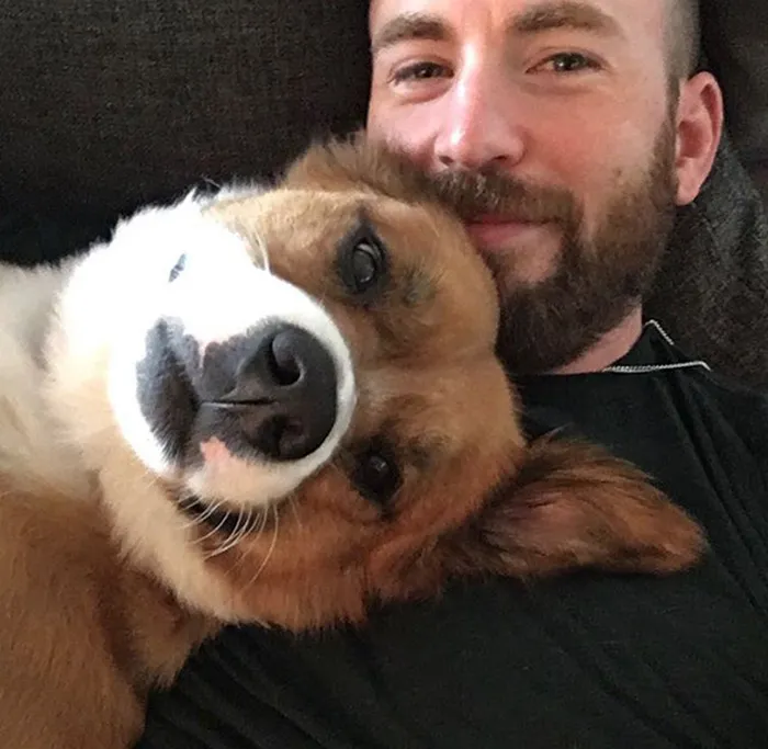 Chris Evans & Dodger