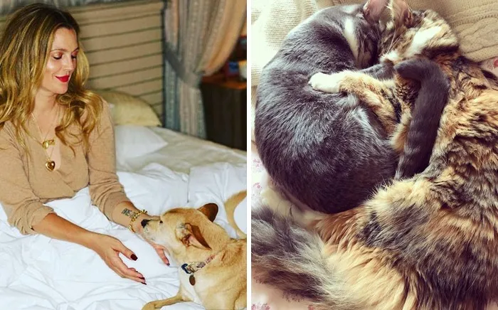 Drew Barrymore & Douglas, Lucky, Peach