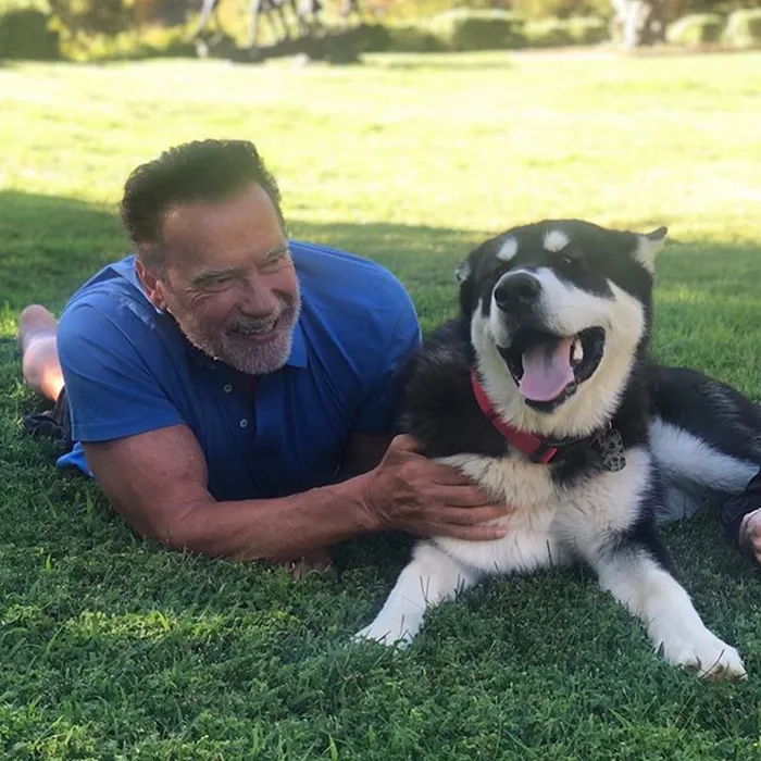Arnold Schwarzenegger & Dutch