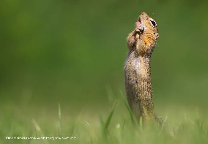 Affinity Photo People's Choice Award Winner: "O Sole Mio" By Roland Kranitz