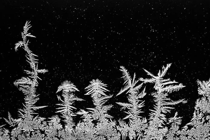 3rd place winner | Intimate Landscape
