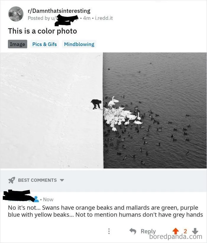 It's Almost Like They Don't Expect Us To Use Our Eyes