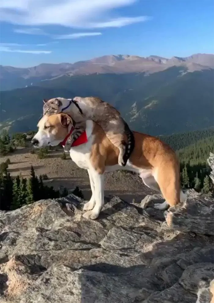 Best Friends