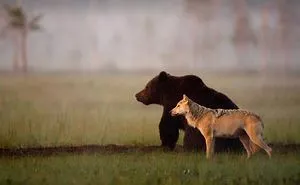 If You Think The World Is Terrible, These 50 Animal Friendships Might Change Your Mind