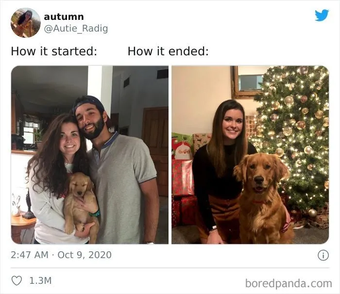 40 Of The Best Responses People Had To The 'How It Started Vs. How It Ended' Meme Challenge