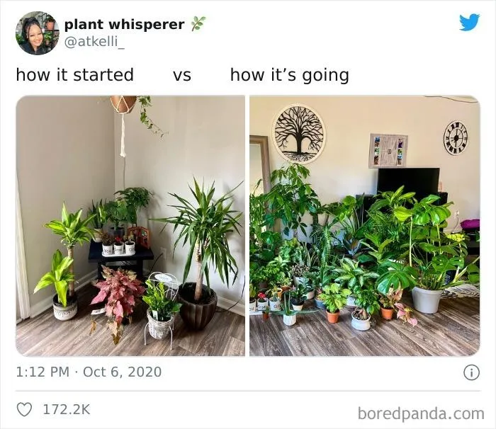 40 Of The Best Responses People Had To The 'How It Started Vs. How It Ended' Meme Challenge