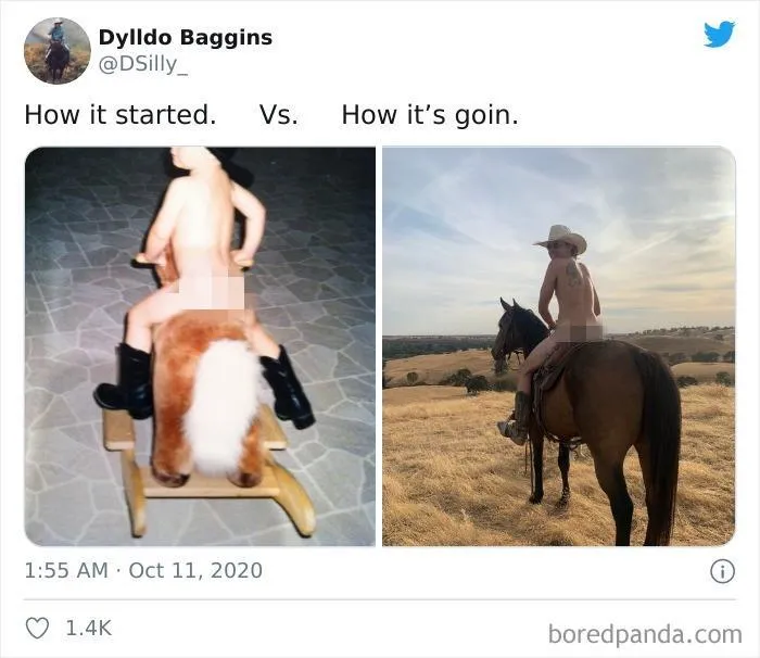 40 Of The Best Responses People Had To The 'How It Started Vs. How It Ended' Meme Challenge