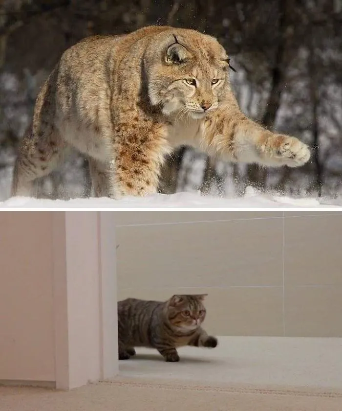 Oh Lawd, He Comin'