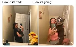 45 Of The Best Reactions Pet Owners Had To The 'How It Started Vs. How It Ended' Meme Challenge
