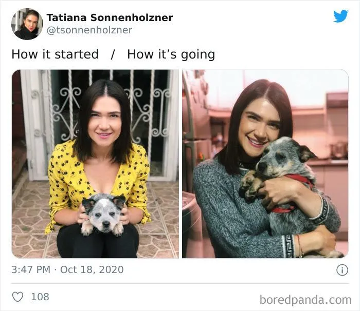 45 Of The Best Reactions Pet Owners Had To The 'How It Started Vs. How It Ended' Meme Challenge