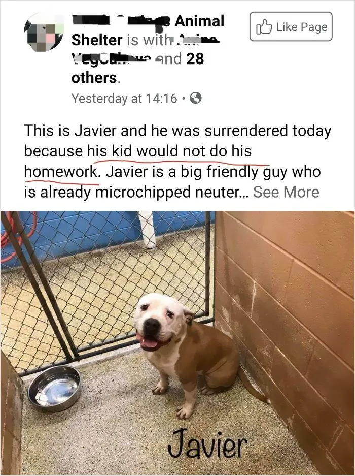 Because His Kid Didn't Do Homework?
