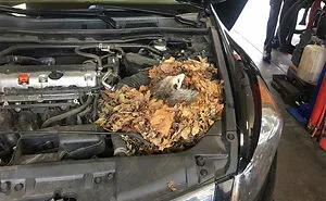 50 Times Car Mechanics Took Pics Of What They Were Dealing With So Others Would Believe Them