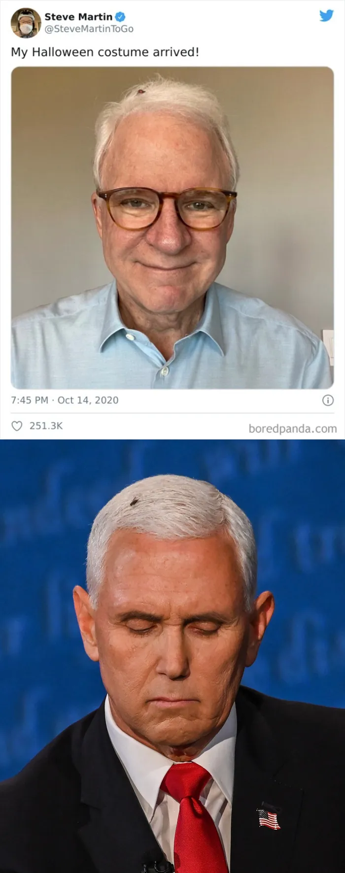 El disfraz de Steve Martin