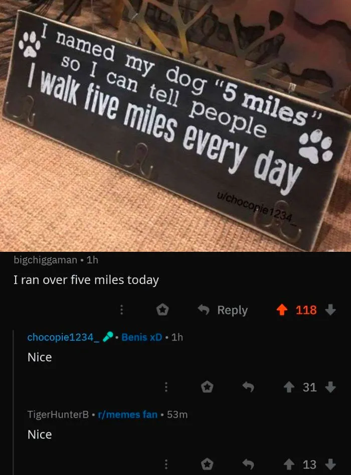 Cursed_dog