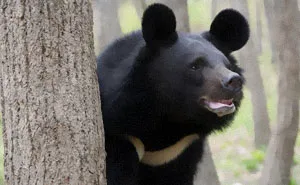 40 Lesser-Known Facts About Animals That Made People Say 'Aww'
