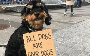 36 Funny Protest Signs From 'Dog With Sign' Who Has 174k Followers (New Pics)