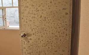 Quarantine Project: I Spent 3 Months Drawing A Mythological Medieval World Map On My Door (13 Pics)