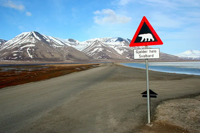 14 Datos extravagantes y fascinantes sobre la vida en Noruega que probablemente no sabías