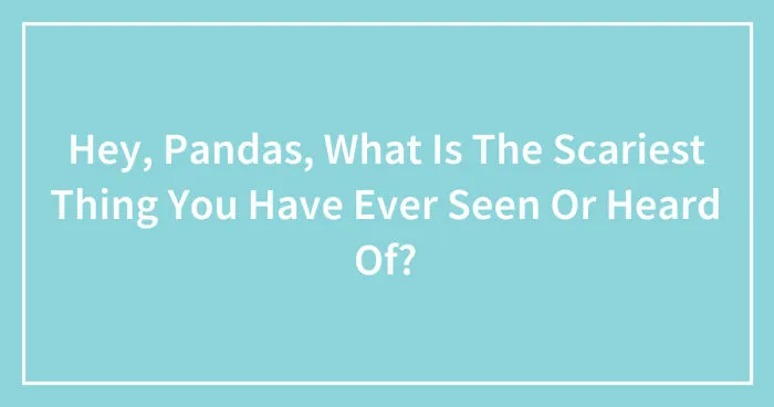 Hey, Pandas, What Is The Scariest Thing You Have Ever Seen Or Heard Of? (Closed)