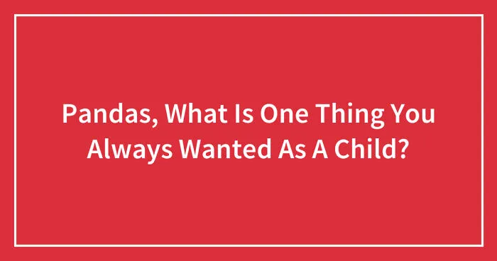 Hey Pandas, What Is One Thing You Always Wanted As A Child? (Closed)