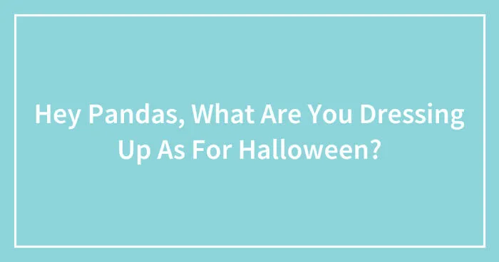 Hey Pandas, What Are You Dressing Up As For Halloween? (Closed)