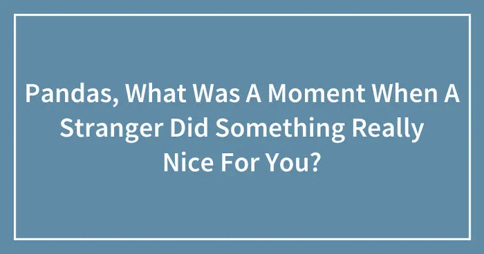 Pandas, What Was A Moment When A Stranger Did Something Really Nice For You? (Ended)