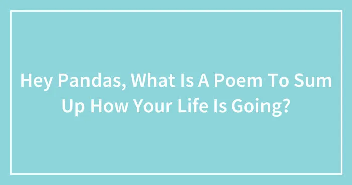 Hey Pandas, What Is A Poem To Sum Up How Your Life Is Going? (Closed)