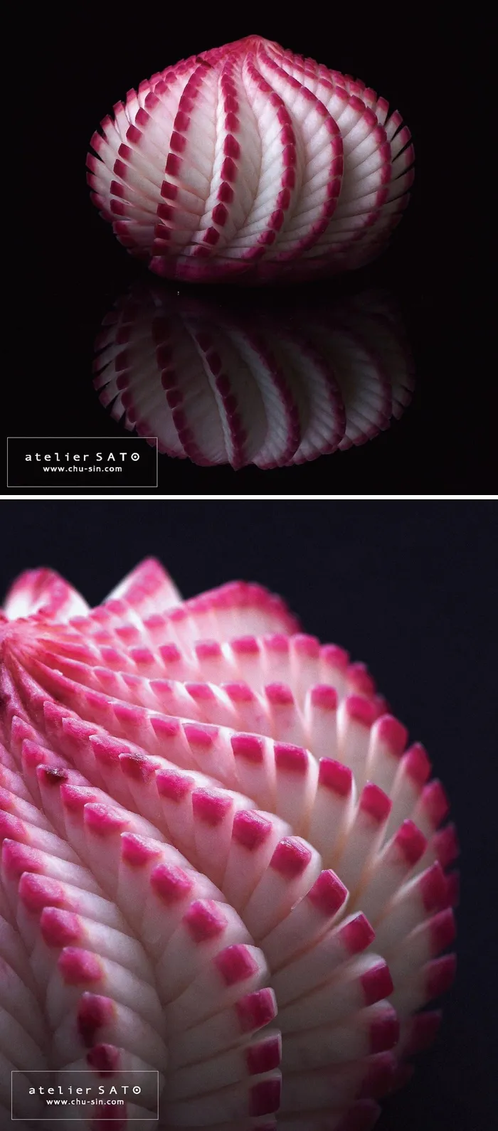 Artist Creates Beautiful Patterns On Fruits And Vegetables By Hand-Carving Intricate Designs