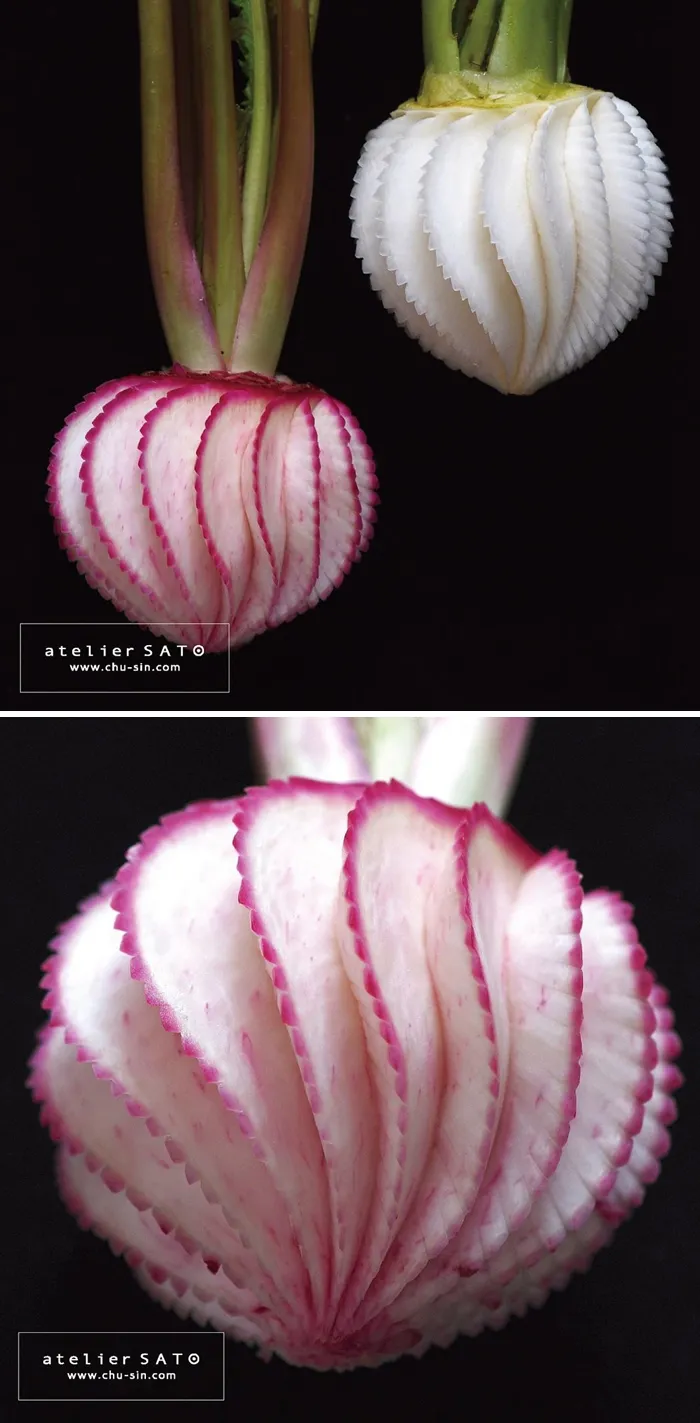 Artist Creates Beautiful Patterns On Fruits And Vegetables By Hand-Carving Intricate Designs
