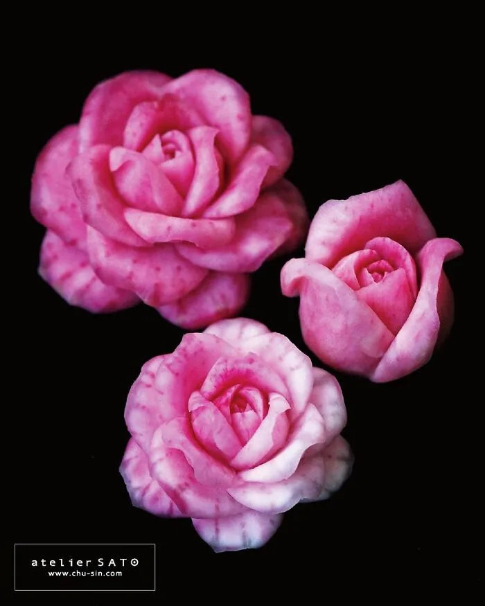 Artist Creates Beautiful Patterns On Fruits And Vegetables By Hand-Carving Intricate Designs