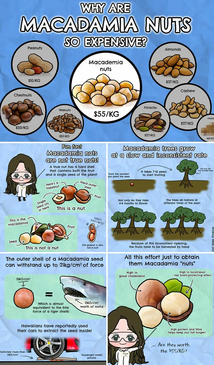30 Beautifully Illustrated Facts That Show How Incredible Our World Is