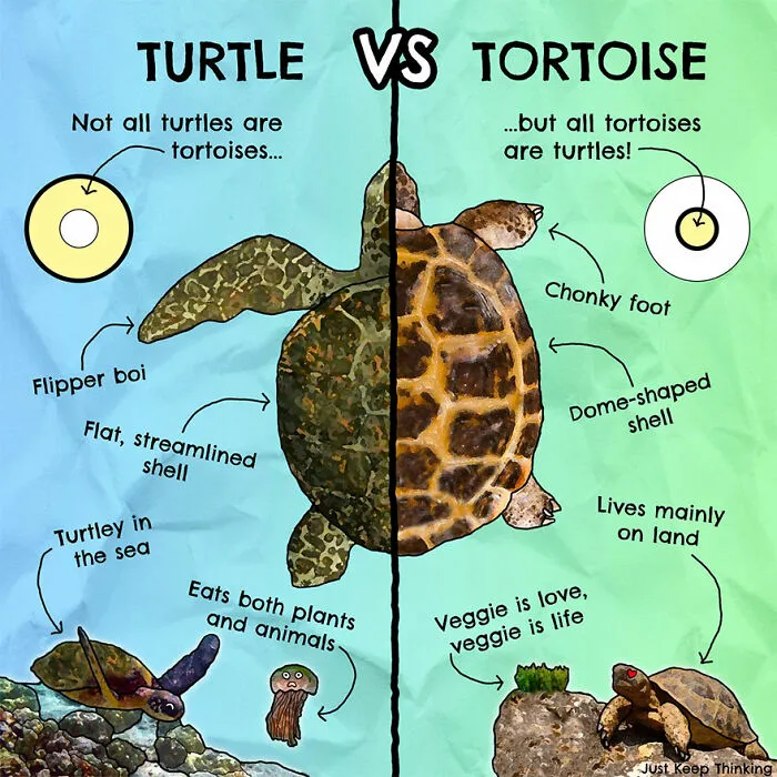 30 Beautifully Illustrated Facts That Show How Incredible Our World Is