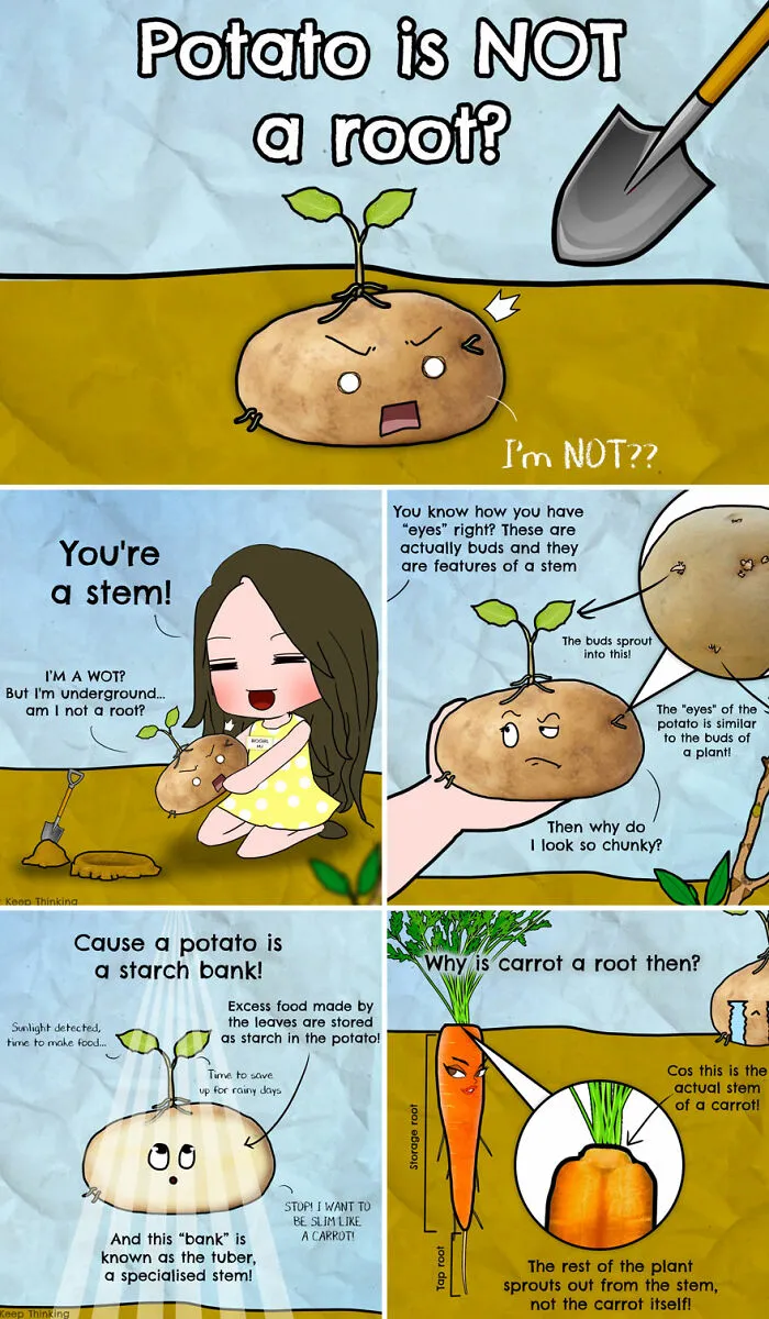 30 Beautifully Illustrated Facts That Show How Incredible Our World Is