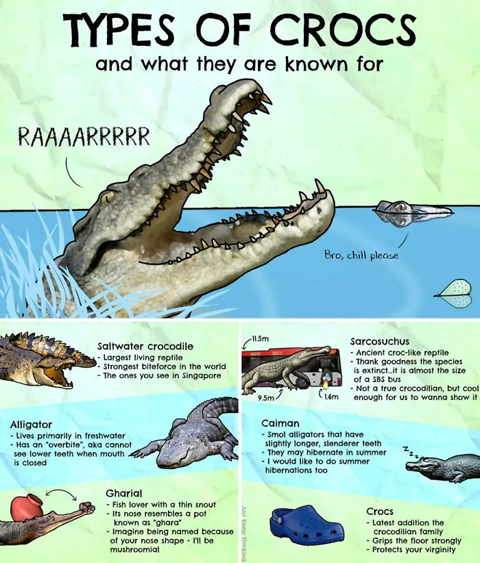 30 Beautifully Illustrated Facts That Show How Incredible Our World Is