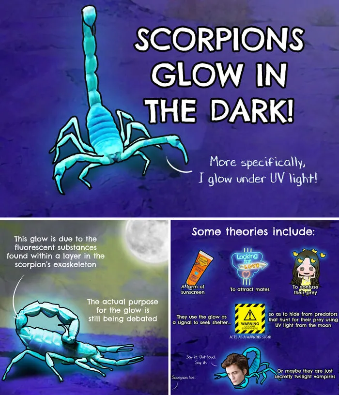30 Beautifully Illustrated Facts That Show How Incredible Our World Is