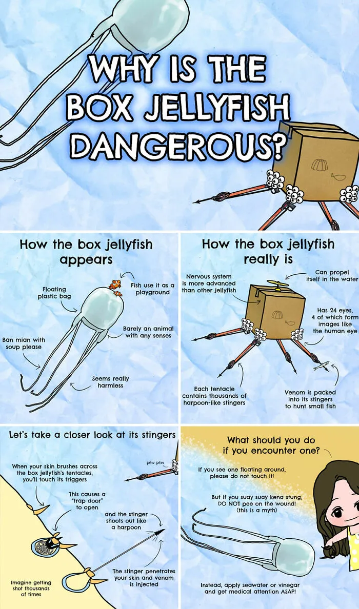 30 Beautifully Illustrated Facts That Show How Incredible Our World Is