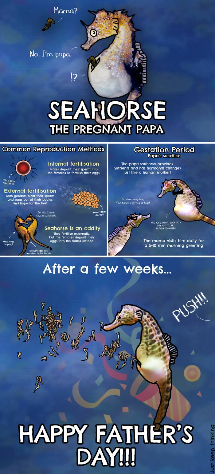 30 Beautifully Illustrated Facts That Show How Incredible Our World Is