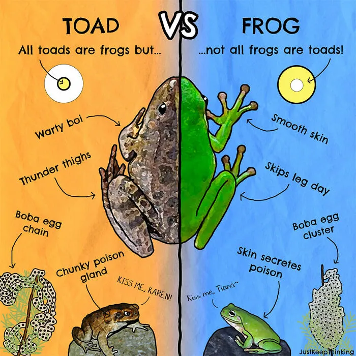 30 Beautifully Illustrated Facts That Show How Incredible Our World Is