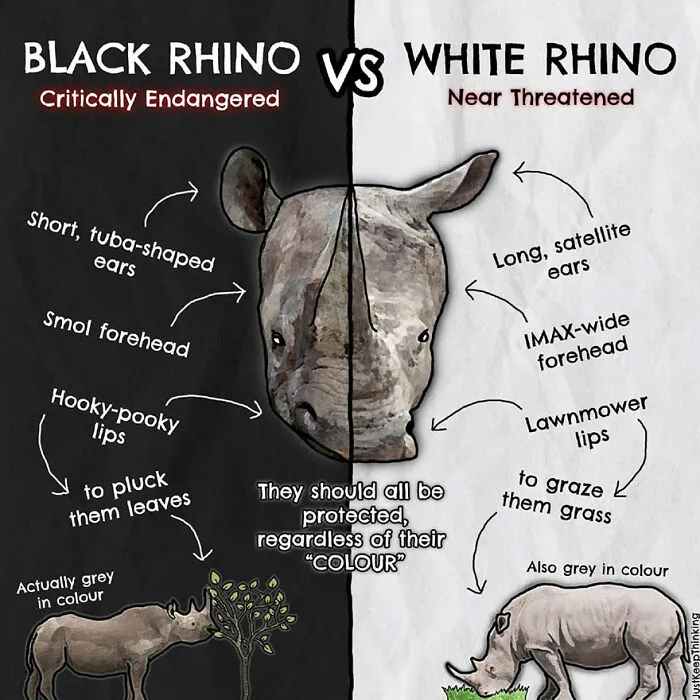 30 Beautifully Illustrated Facts That Show How Incredible Our World Is