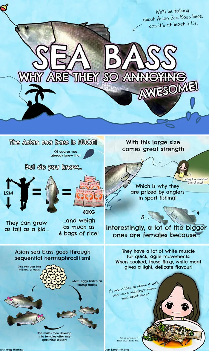30 Beautifully Illustrated Facts That Show How Incredible Our World Is