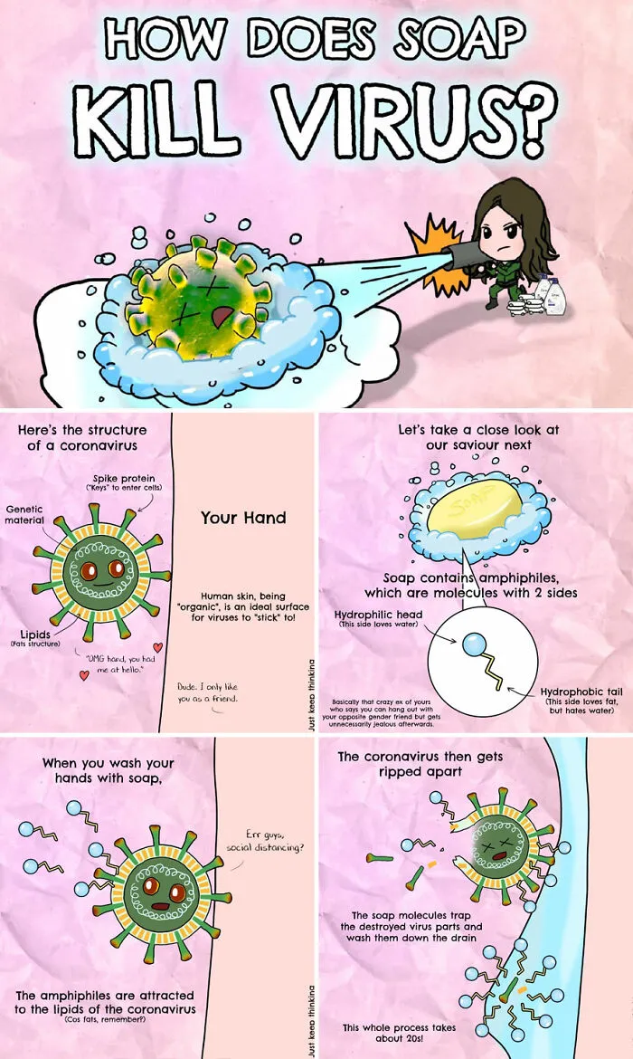 30 Beautifully Illustrated Facts That Show How Incredible Our World Is