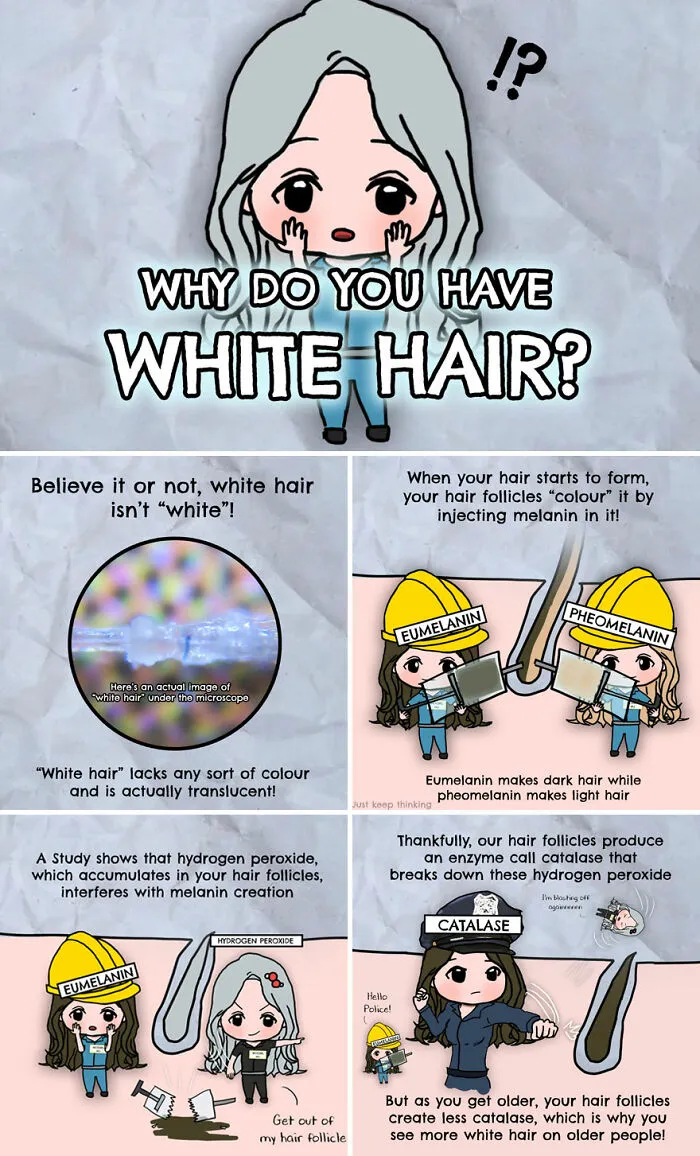 30 Beautifully Illustrated Facts That Show How Incredible Our World Is
