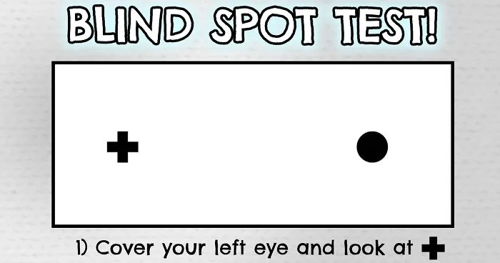 30 Beautifully Illustrated Facts That Show How Incredible Our World Is