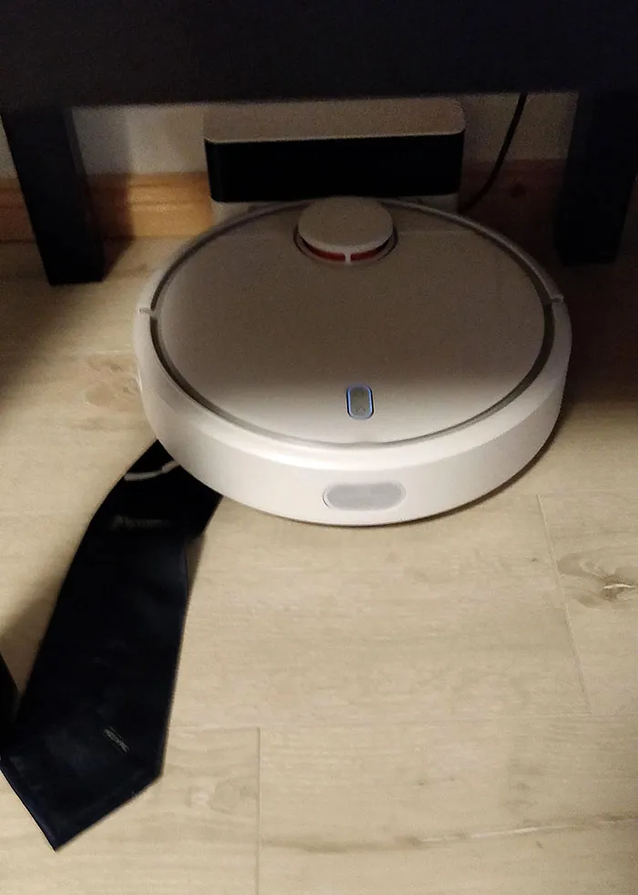 I'm Afraid, Our Vacuum Will Quit Soon. It Seems He Had An Interview