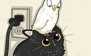 30 Of The Funniest Internet-Famous Cat Pics Get Illustrated By Tactooncat