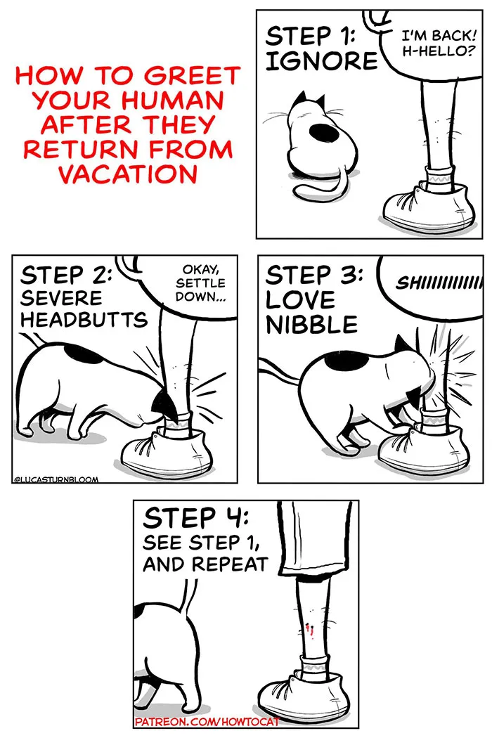 30 Funny Comics About The Reality Of Living With A Cat (New Pics)