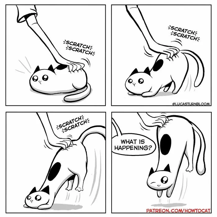 30 Funny Comics About The Reality Of Living With A Cat (New Pics)