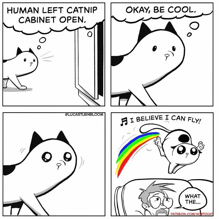 21 Funny Comics About The Reality Of Living With A Cat