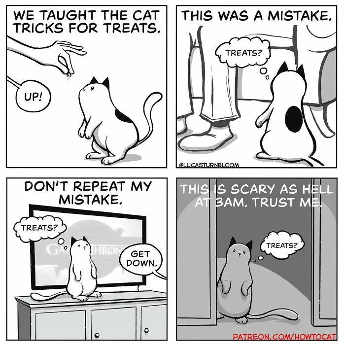 30 Funny Comics About The Reality Of Living With A Cat (New Pics)